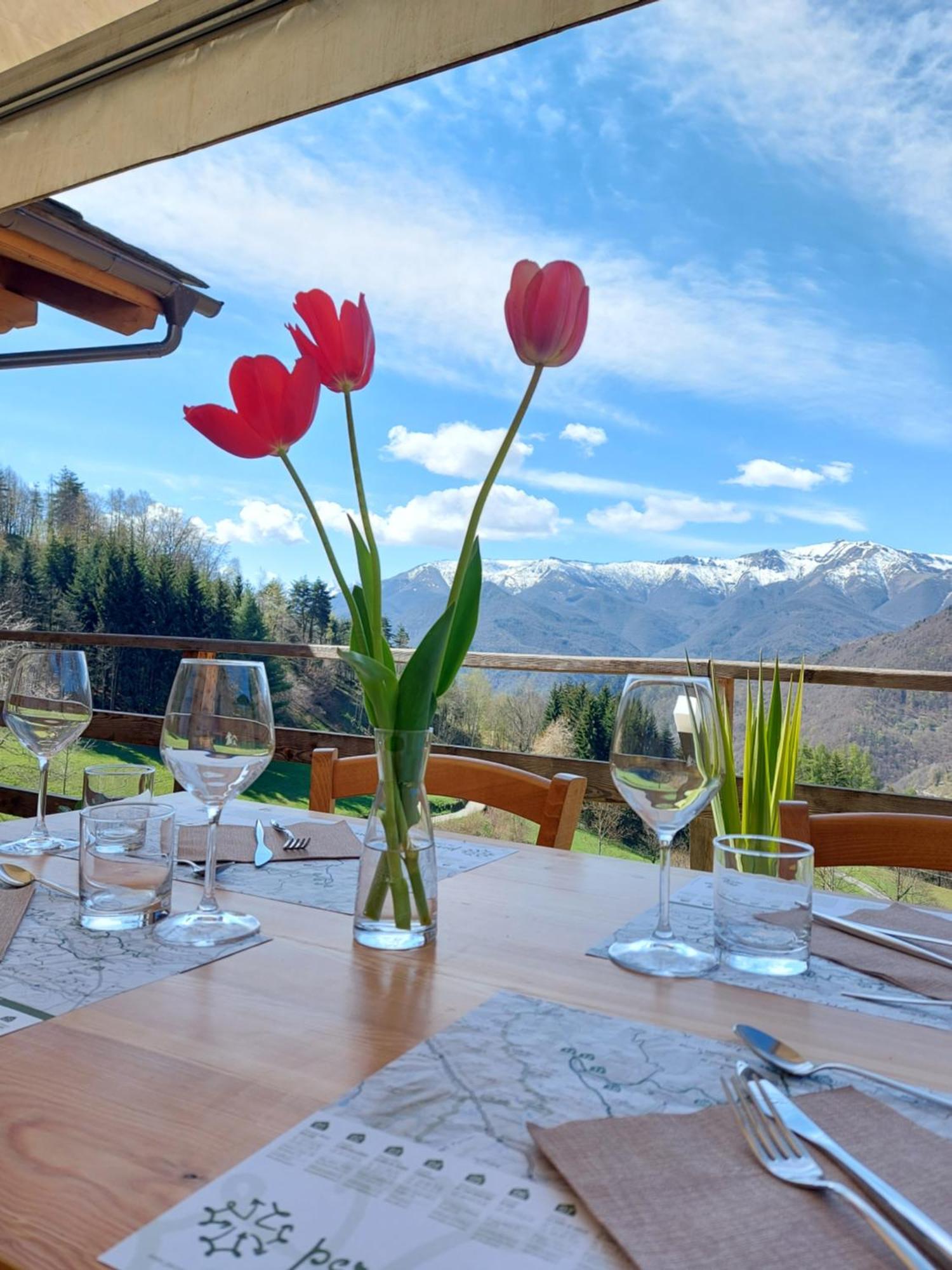 Locanda Il Campo Della Quercia San Damiano Macra Εξωτερικό φωτογραφία